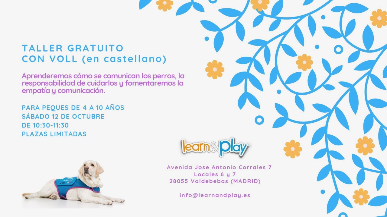 Taller Voll learnplay